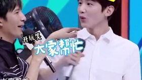 开心果cp花絮,开心果CP花絮幕后温情曝光